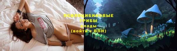 ALPHA-PVP Вяземский