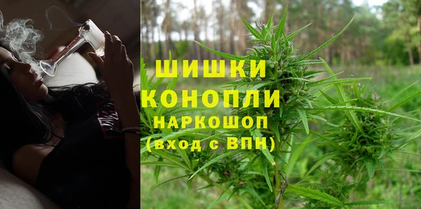 МДПВ Вязьма