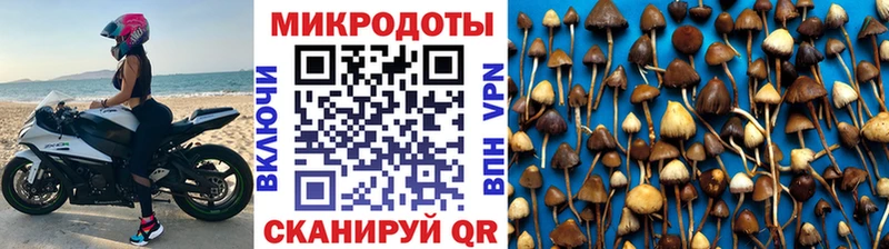 Галлюциногенные грибы ЛСД  Купить где  Приозерск 